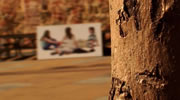The Living (Photo 2)